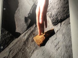 Exposición de Mutantes 2022